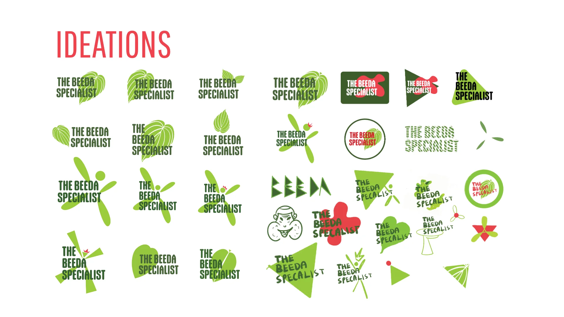 A sheet of logo ideations for The Beeda Specialist in greens and reds, with leaves, triangles and hand-drawn lettering